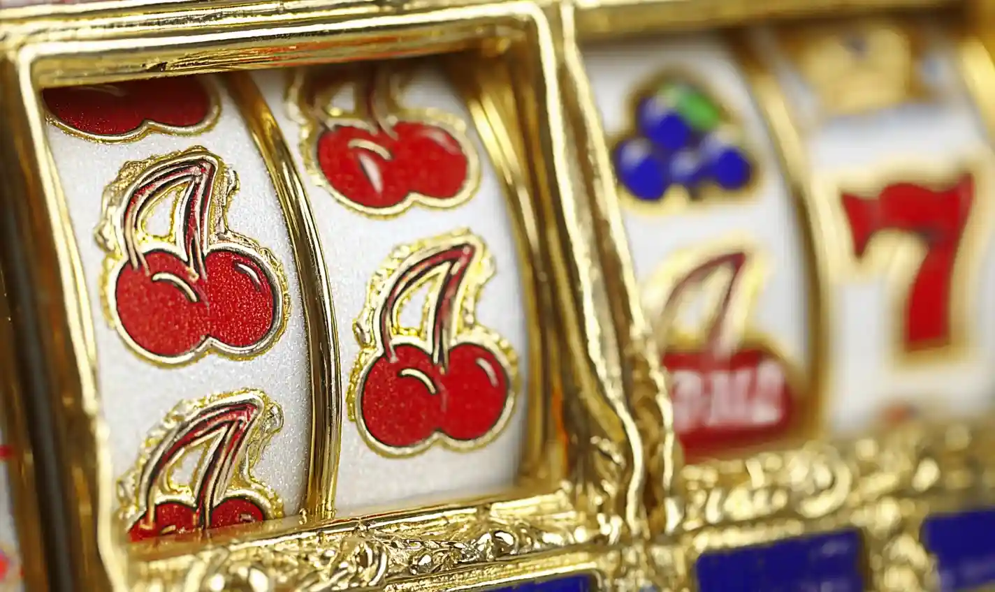 <strong>www slotomania vip com download for android</strong>” style=”max-width:100%;height:auto;” /></p>
<p>Welcome to the electrifying world of Slotomania, where players can immerse themselves in a universe of vibrant and exciting slot games. Whether you are a seasoned player or a newcomer, Slotomania offers something for everyone. Discover the convenience of gaming on-the-go with the <strong>www slotomania vip com download for android</strong> option, bringing endless fun directly to your device.</p>
<h2>Features and Benefits</h2>
<h3>Wide Range of Free Slot Games for Fun</h3>
<p>Slotomania boasts an extensive collection of <strong>free slot games for fun</strong>, allowing players to experience the thrill of casino gaming without any financial commitment. Enjoy the excitement of spinning the reels and winning big in a risk-free environment.</p>
<h3>Engaging and Interactive Gameplay</h3>
<p>With Slotomania, you are not just playing a game; you are part of an interactive gaming experience. The platform offers engaging features such as electric slot cars and bonus rounds that keep the excitement alive and players coming back for more.</p>
<h3>Innovative Slot Technology</h3>
<p>Slotomania integrates cutting-edge technology, much like <strong>stainless steel slot drainage channels</strong> that guide water seamlessly, ensuring a smooth and hassle-free gaming experience. This technology enhances gameplay with seamless graphics and user-friendly interfaces.</p>
<h2>How to Get Started</h2>
<p>Getting started with Slotomania is a breeze. Simply visit the platform to <strong>download for Android</strong> and follow the easy steps to set up your account. Once installed, you can dive into the world of slots and begin your gaming adventure.</p>
<h2>Promotions and Bonuses</h2>
<p>Slotomania is renowned for its generous promotions and bonuses. New players can enjoy welcome bonuses, while regular promotions keep the excitement alive for existing users. Keep an eye out for special events and seasonal offers that add to the fun.</p>
<h2>Safety and Reliability</h2>
<p>Your safety is a top priority at Slotomania. The platform employs state-of-the-art security measures to ensure your data and transactions are protected at all times. Play with peace of mind knowing that your gaming environment is secure and reliable.</p>
<h2>FAQs</h2>
<ul>
<li><strong>How do I sign up for Slotomania?</strong> To join Slotomania, simply download the app on your Android device, follow the registration prompts, and start playing.</li>
<li><strong>What types of games are available?</strong> Slotomania offers a wide range of slots, including classic, video, and themed slot games, providing endless entertainment options.</li>
<li><strong>How can I make deposits and withdrawals?</strong> Slotomania supports various payment methods, making it easy to deposit and withdraw funds securely and conveniently.</li>
<li><strong>Are there any promotions for new players?</strong> Yes, new players are greeted with welcome bonuses, and there are regular promotions available for all users to enjoy.</li>
<li><strong>Is my personal information safe on Slotomania?</strong> Absolutely, Slotomania uses advanced encryption technology to protect your personal and financial information at all times.</li>
<li><strong>How can I contact customer support?</strong> Slotomania offers 24/7 customer support through various channels, including live chat and email, to assist with any inquiries you may have.</li>
</ul>
<h2>User Reviews</h2>
<p>“Slotomania is my go-to app for slot games. The variety and quality of games are unmatched, and the bonuses keep me coming back.” – Alex T.</p>
<p>“I love the interactive features and the user-friendly interface. Slotomania makes it easy to enjoy gaming anywhere!” – Jamie S.</p>
<p>“The best part about Slotomania is the security. I feel safe playing, knowing my information is protected.” – Sam L.</p>
<h2>Conclusion</h2>
<p>In conclusion, Slotomania offers a thrilling and secure gaming experience with its extensive range of games and generous promotions. Whether you are looking to enjoy <strong>free slot games for fun</strong> or delve into more serious gaming, Slotomania has it all. Don’t wait any longer; download the app today and start spinning to win!</p>
</div></div><div class=